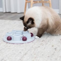 Cat activity Pentagon Trixie