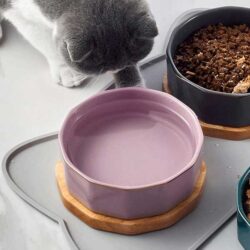 Tapete em silicone formato gato - Image 3