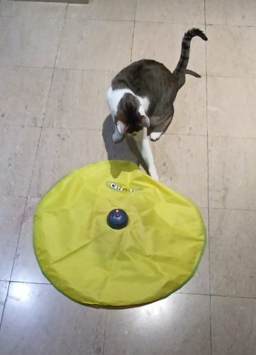 Catch the Tail cauda rotativa photo review