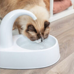 Fonte/Bebedouro Curved Stream (Trixie) - 2,5 L - Image 5