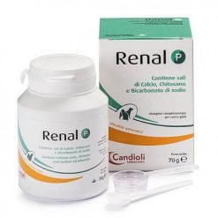 Renal P