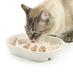 Alternative view of Slow feeder em cerâmica com formato peixe