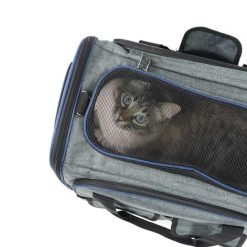 Alternative view of Transportadora AUSTIN expansível