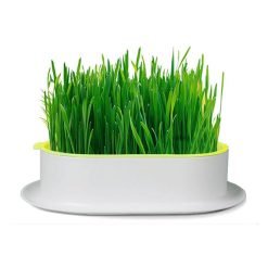 Vaso germinador para erva