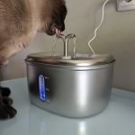 Fonte de água KITTO em aço inoxidável 2,5 L photo review