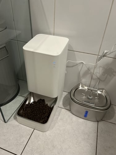 Fonte de água KITTO em aço inoxidável 2,5 L photo review