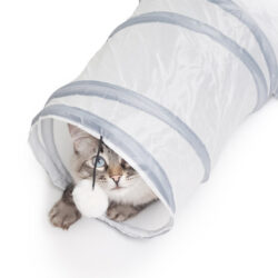 Túnel PURRWAY - Image 5