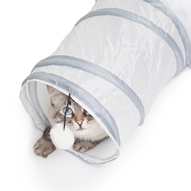 Túnel PURRWAY - Image 5