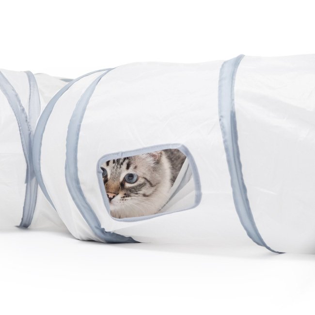 Túnel PURRWAY - Image 3