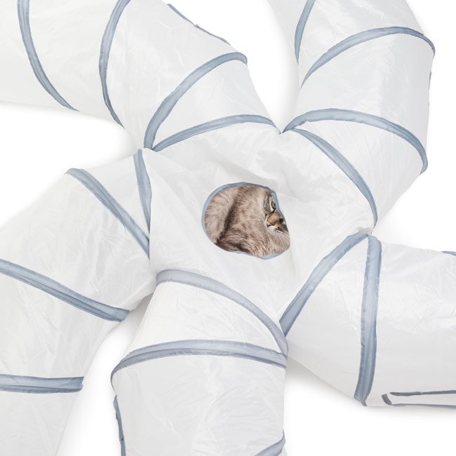 Túnel PURRWAY - Image 6