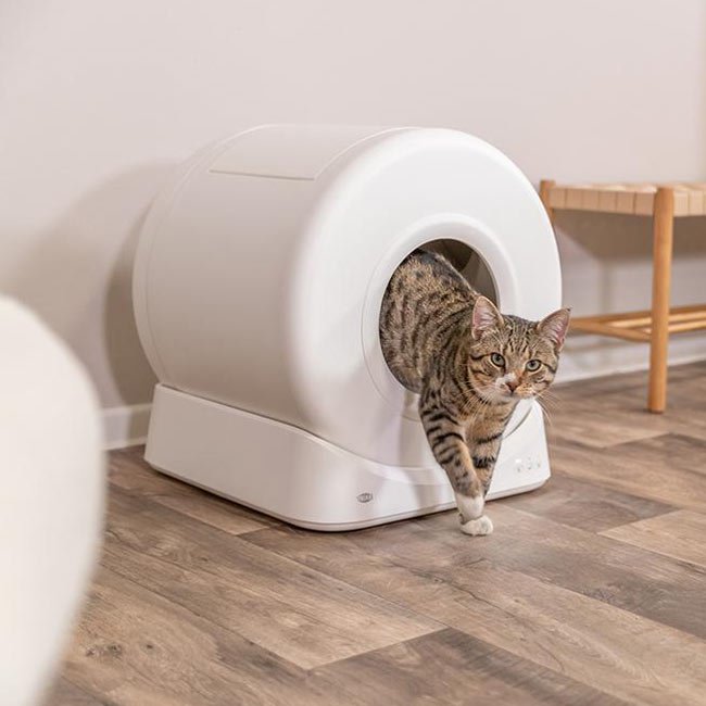 Caixa de areia automática SELF-CLEANING SMART (Trixie) Controlo por APP (nova versão) - Image 3