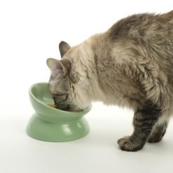 Alternative view of Taça em cerâmica inclinada e elevada