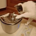 Fonte de água KITTO em aço inoxidável 2,5 L photo review