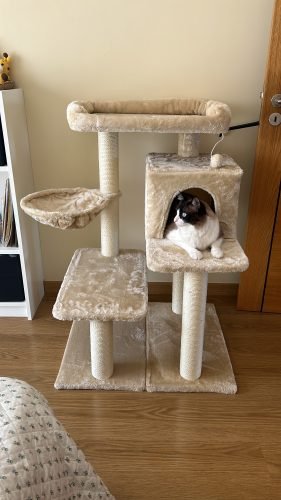 Arranhador ELIOT 102 cm photo review