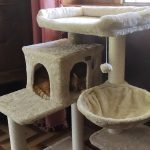 Arranhador ELIOT 102 cm photo review