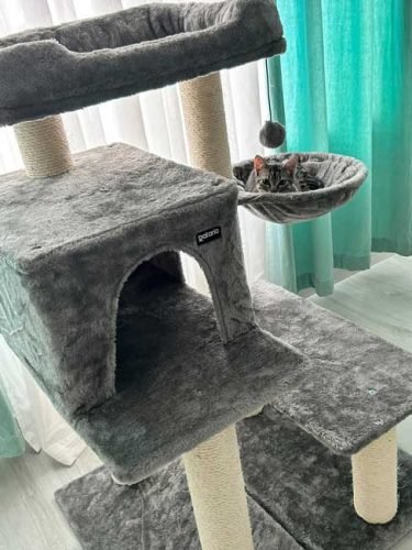 Arranhador ELIOT 102 cm photo review