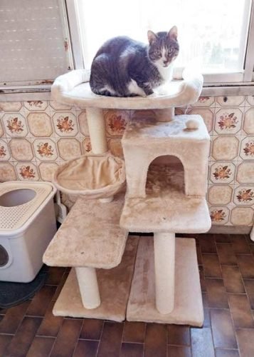 Arranhador ELIOT 102 cm photo review