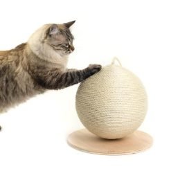 Arranhador em sisal para gatos com formato bola e base em madeira