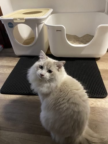 Caixa de areia MAX quadrada XXL c/ paredes altas photo review