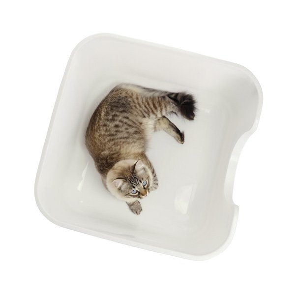 Caixa de areia MAX quadrada XXL c/ paredes altas - Image 4