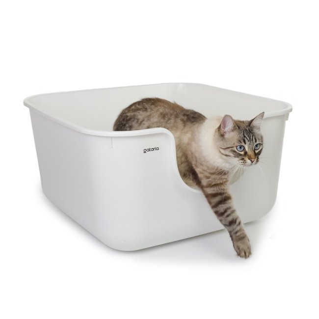 Caixa de areia MAX quadrada XXL c/ paredes altas - Image 7