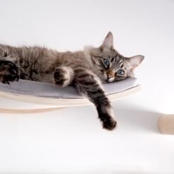 Cama de parede para gatos