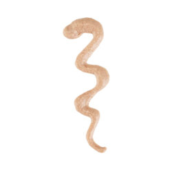 Alternative view of Schesir STIX snack cremoso (6x15g) - Mix Pack