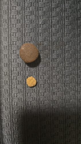 Adiva Hepaguard Chews - Biscoitos p/ saúde hepática photo review