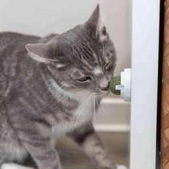 Alternative view of Bola com catnip em suporte para colar