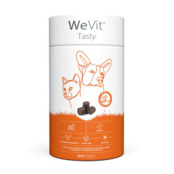 WeVit Tasty (30 chews) - Suporte imunitário