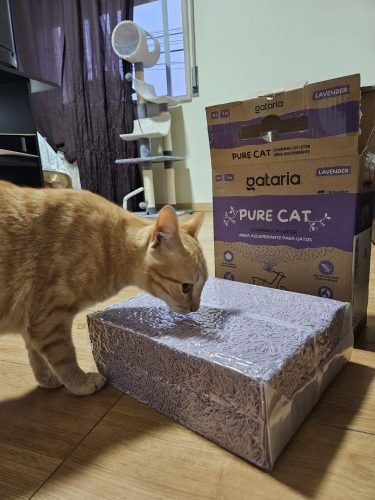 Gataria Pure Cat Areia ultra-aglomerante - Lavanda photo review