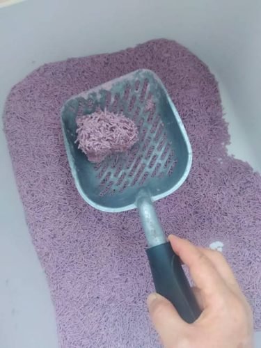 Gataria Pure Cat Areia ultra-aglomerante - Lavanda photo review