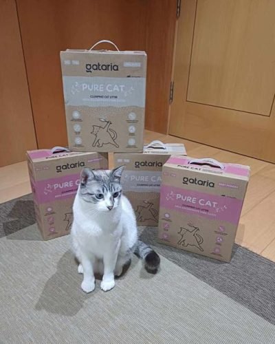 Gataria Pure Cat Areia ultra-aglomerante - Sem perfume photo review