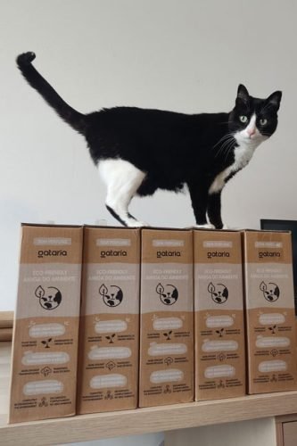 Gataria Pure Cat Areia ultra-aglomerante - Sem perfume photo review