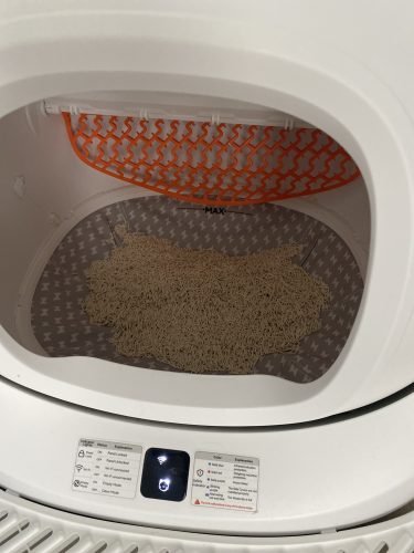 Gataria Pure Cat Areia ultra-aglomerante - Sem perfume photo review