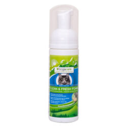 Bogacare Champô Seco Clean & Fresh Espuma (150 mL)