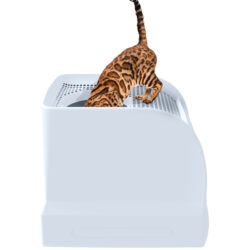Caixa de areia FRIDA (Imac) com saída por cima e gaveta fácil limpeza - Image 3