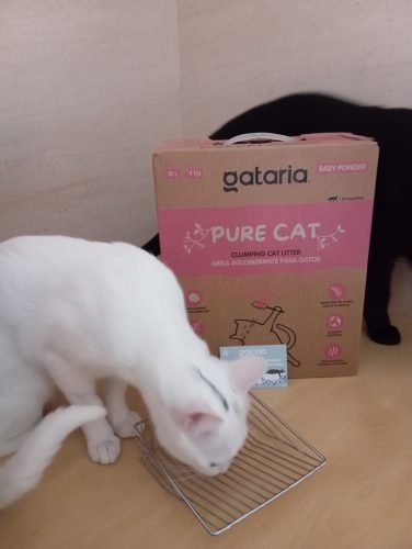 Gataria Pure Cat Areia ultra-aglomerante - Talco photo review