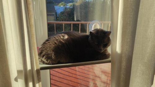 Cama de janela SPY formato plano rebatível e sem cabos photo review