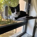 Cama de janela SPY formato plano rebatível e sem cabos photo review