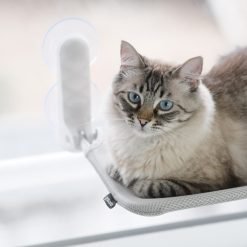 Alternative view of Cama de janela SPY formato plano rebatível e sem cabos