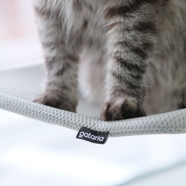 Cama de janela SPY formato plano rebatível e sem cabos - Image 4