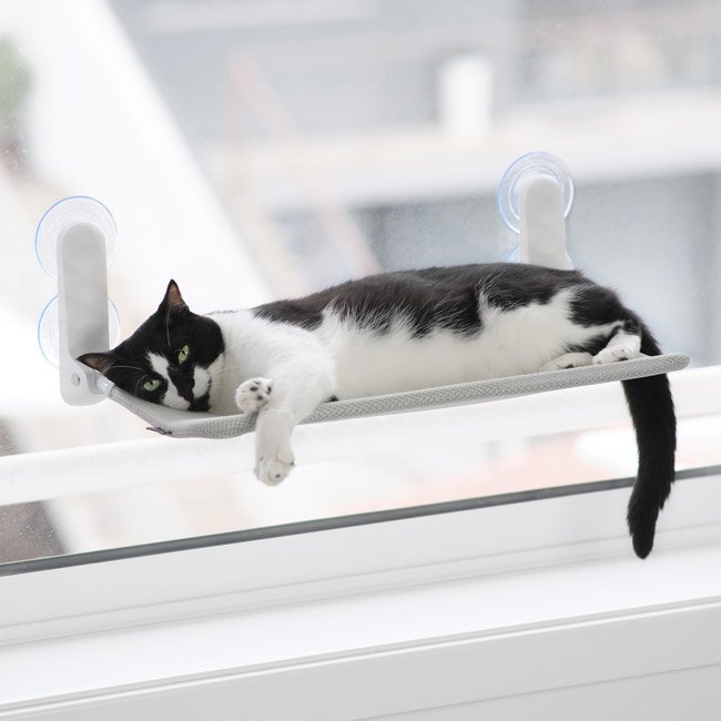 Cama de janela SPY formato plano rebatível e sem cabos - Image 3