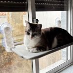 Cama de janela SPY formato plano rebatível e sem cabos photo review