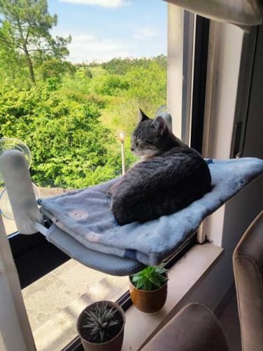 Cama de janela SPY formato plano rebatível e sem cabos photo review