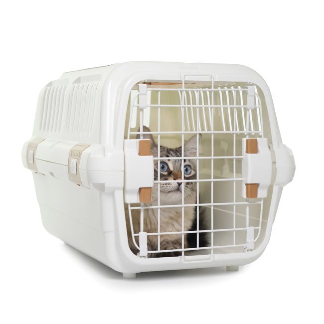 Transportadora LIMO com duplo acesso (frontal e no topo) - Image 6