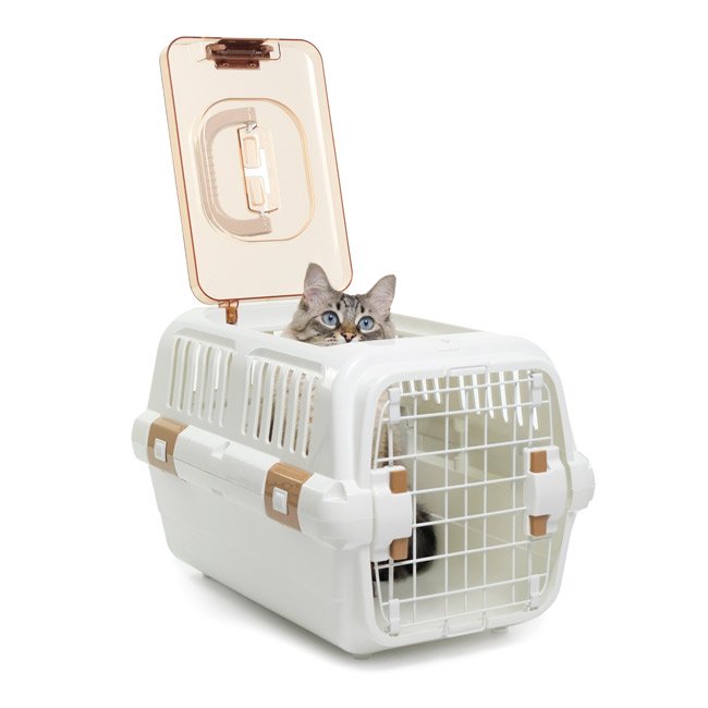 Transportadora LIMO com duplo acesso (frontal e no topo)