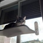 Cama de janela SPY formato plano rebatível e sem cabos photo review