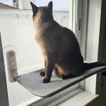 Cama de janela SPY formato plano rebatível e sem cabos photo review