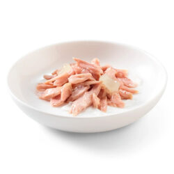 Alternative view of Schesir Complements alimento húmido em gelatina (70g) – Atum com Aloé